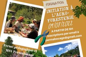 Samedi 9 Juillet : Journée d'initiation à l'agroforesterie