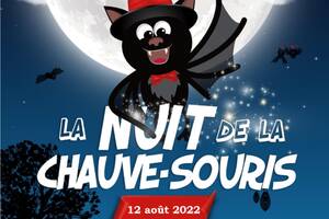 Nuit de la chauves-souris