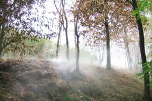 Balade Nature & Patrimoine à Cransac - Histoire, curiosités géologiques et biodiversité de la forêt de la Vaysse