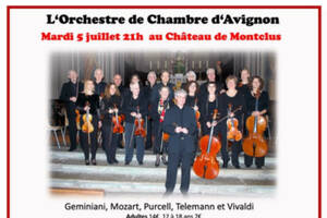 Concert classique: l'orchestre de chambre d'Avignon