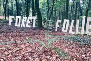 Forêt follies