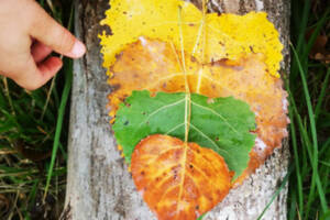 Atelier enfants : Art et nature