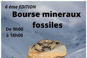 6 éme bourse mineraux fossiles