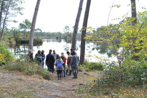 Balade découverte des lacs d'Hostens