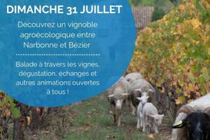 Journées Vignes Ouvertes : l’agroécologie au cœur des vignes