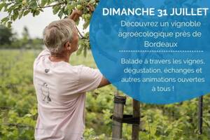 Journées Vignes Ouvertes : l’agroécologie au cœur des vignes