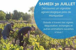 Journées Vignes Ouvertes : l’agroécologie au cœur des vignes