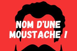 Non d'une moustache!