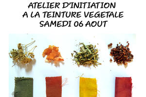 stage d'initiation à la teinture végétale