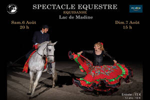 Spectacle Equidanse au Lac de Madine