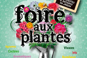 Foire aux plantes de Villeneuve sur Vère