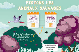 Pistons les animaux sauvages en Pays de Conches