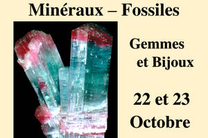 39ème salon Minéralogique, Paléontologique, Gemmes et Bijoux