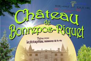 13èmes Journées des plantes du Château de Bonrepos-Riquet