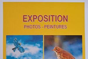 exposition Photos Peintures