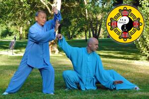 cours de Taiji Quan et Qi Gong traditionnel, école Fa Taiji, à Monestiés 81640 (prononcez Taichi Chuan et Chi Kung)