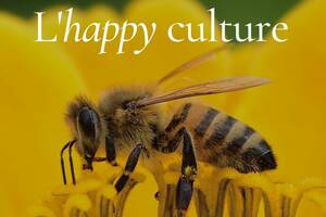 Exposition - L'happy culture