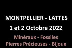 Salon International minéraux fossiles gemmes  Mas de Saporta 1 et 2 Octobre 2022  