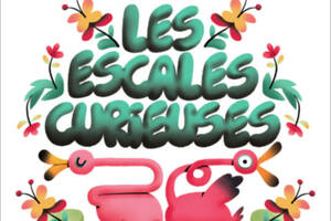 festival les escales curieuses