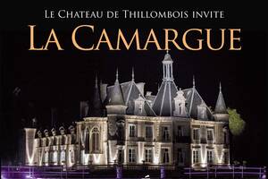 Le château de Thillombois invite la Camargue