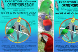 EXPOSITION OISEAUX EXOTIQUES