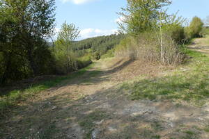 Visite du Sentier Botanique