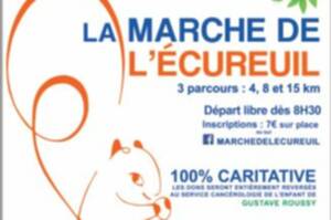 LA MARCHE DE L'ECUREUIL