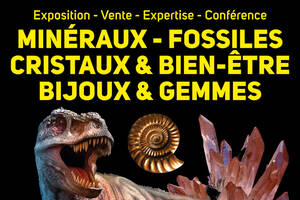 Salon Minéraux Fossiles Cristaux & Bien-Être Bijoux et Gemmes + Exposition de Dinosaures