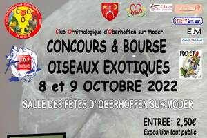 Concours-bourse-exposition