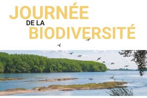 Journée de la biodiversité