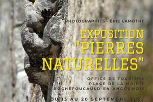 Exposition photo 