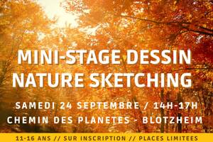 Mini-stage dessin « nature sketching »