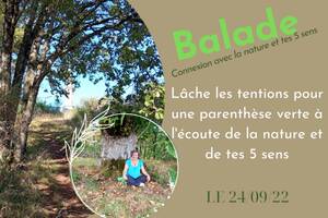 Balade connexion avec la nature et tes 5 sens