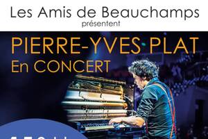 Pierre Yves Plat en concert