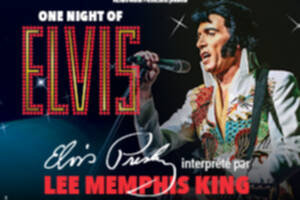 ONE NIGHT OF ELVIS