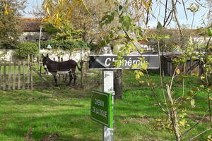 1er VIDE MAISON COMMUNAL et TROC PLANTES