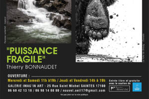 Exposition photographique