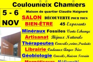 Coulounieix Chamiers SALON de BIEN ÊTRE, MINERAUX, FOSSILES,ARTISANAT