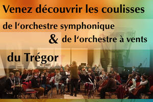 STAGE DECOUVERTE D'UN ORCHESTRE