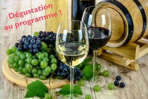 Conférence UPT : la civilisation française du vin