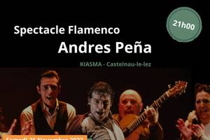 Spectacle Flamenco