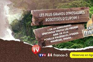 Le Musée Ephémère: les dinosaures arrivent à La Roche sur Foron