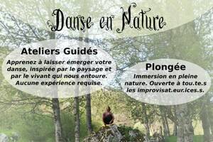 Atelier de danse en nature