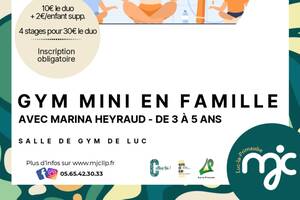 Stage de gym mini et flamenco en famille