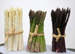 Fête de l'asperge