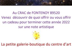 Petite galerie boutique CRAC Fontenoy