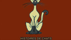 Chat, Chat, Chat 