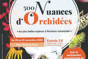 Exposition d'orchidées