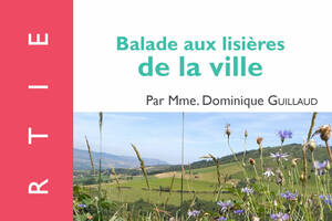Conférence UPT : balade aux lisières de la ville