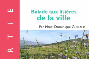 Conférence UPT : balade aux lisières de la ville